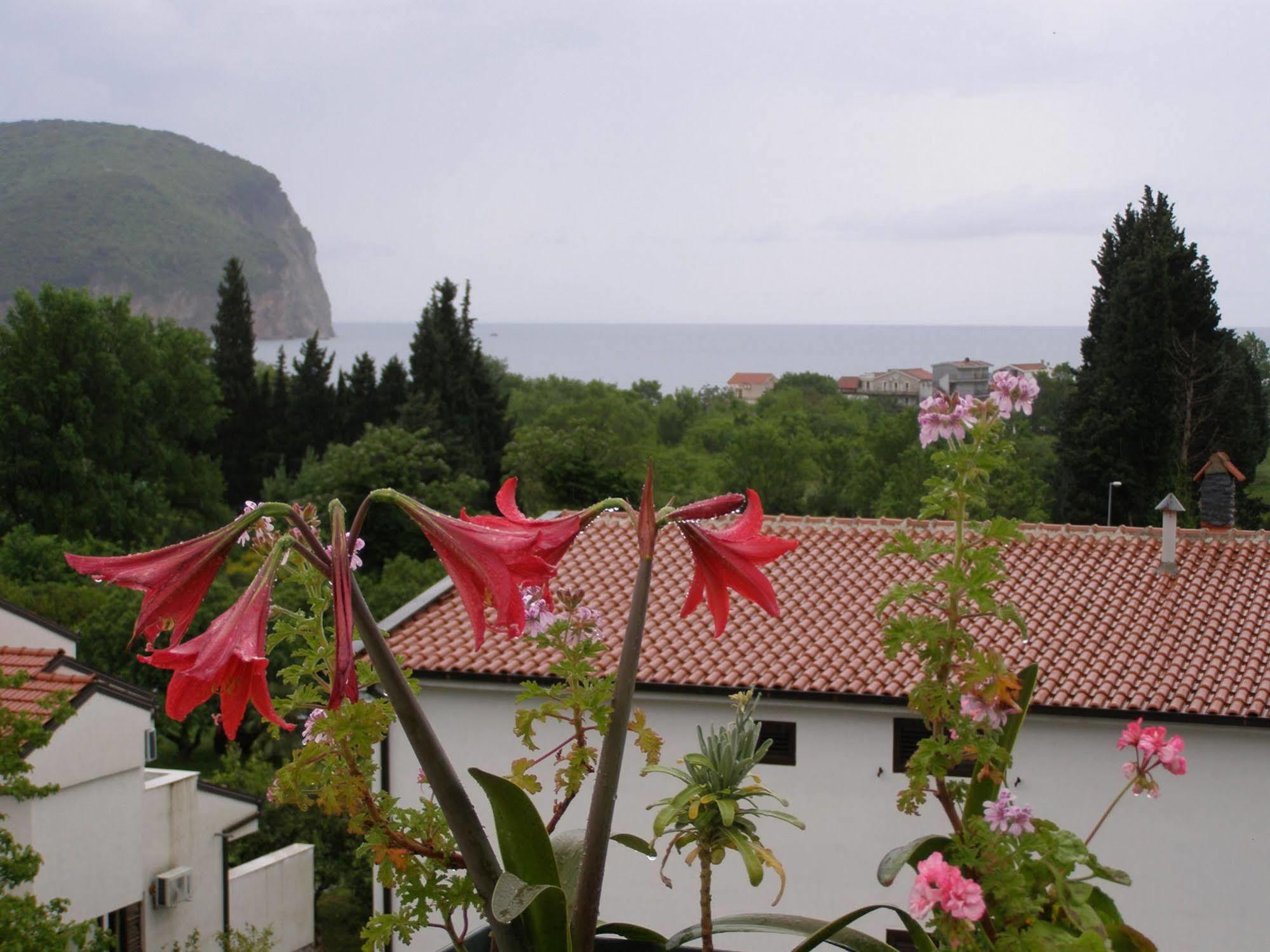 Hotel Wellness & Spa Angelo Gabriel Petrovac Buitenkant foto
